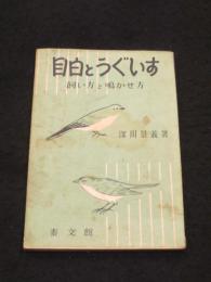 目白とうぐいす : 飼い方と鳴かせ方