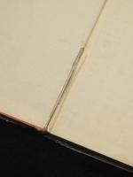 大洪水時代　＜手塚治虫漫画選集20＞