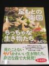 足もとの楽園ちっちゃな生き物たち