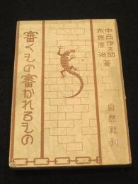 審くもの審かれるもの