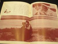 【映画パンフレット】　裏切りの荒野