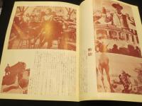 【映画パンフレット】　荒野の墓標