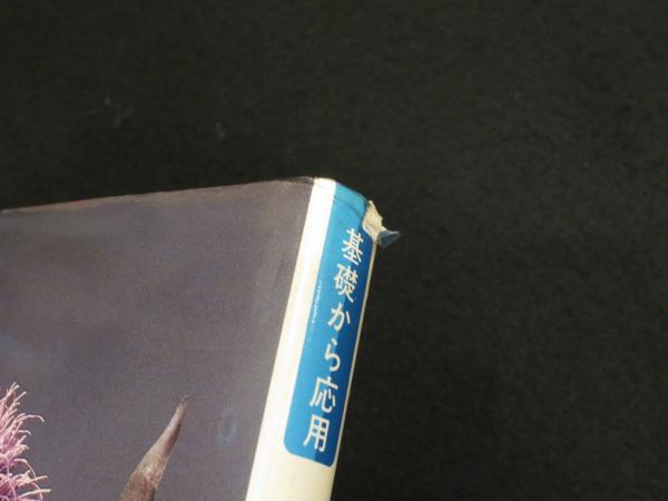 本革の絵画 革絵(かわえ) 「花」 ベルナール ・ シャロワ 「 黒い襟の若い娘 」 リトグラフ 版画