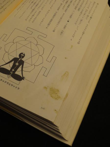 図説ヨーガ大全(伊藤武 著) / 古本、中古本、古書籍の通販は「日本の