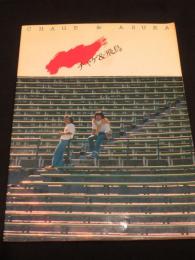 CHAGE & ASUKA 1981 コンサートツアー 熱風　パンフレット