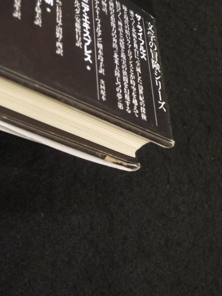 生埋め ある狂人の手記より サーデグ ヘダーヤト 著 石井啓一郎 訳 古本 中古本 古書籍の通販は 日本の古本屋 日本の古本屋