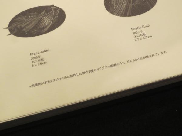 柄澤齊展 : 版画、オブジェ、水彩、本 1971-2006(栃木県立美術館 