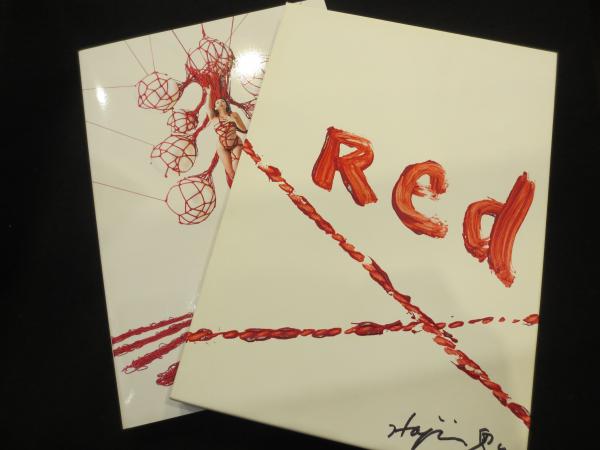 Perfect Red ； Hajime Kinoko(Hajime Kinoko / ハジメキノコ) / 古本