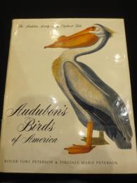 Audubons Birds Of America