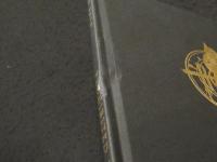 Pｒｏｈｉｂｉｔｅｄ Book ; Luis Royo