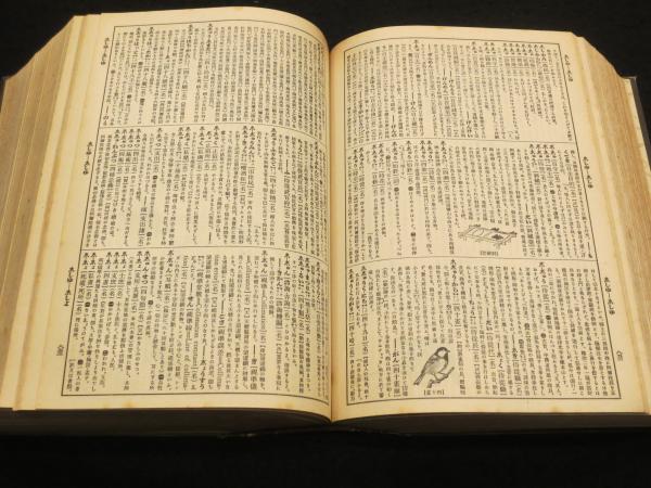広辞林 新訂版(金沢庄三郎 編) / 古本、中古本、古書籍の通販は