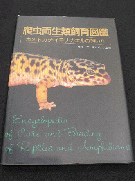 爬虫両生類飼育図鑑 : カメ・トカゲ・イモリ・カエルの飼い方