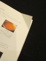 基礎からわかるフランス料理 : 下処理から調理技法まで基礎を詳しく解説