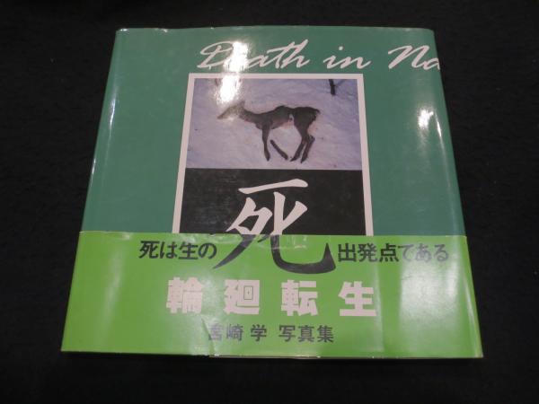 ライナー・ヴェルナー・ファスビンダー DVD BOX 4 (四季を売る男