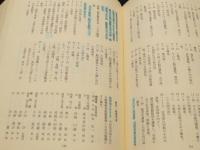 海防艦戦記