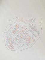 A dendro‐cyto‐myeloarchitectonic atlas of the cat’s brain ＜猫脳ゴルジ染色図譜＞