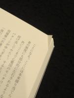 哲学の問題とはポイントの問題である: ウィトゲンシュタインの中心概念を読む