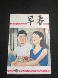 早春　＜映画パンフレット＞