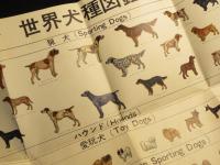 世界の犬・日本の犬