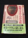 続縄文・オホーツク文化