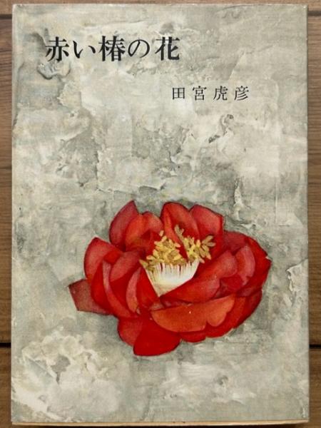 赤寺 あかでら 椿 椿 赤寺 | Camellia japonica 'akadera' | かぎけん