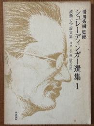 シュレーディンガー選集１　波動力学論文集