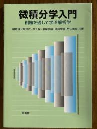 微積分学入門　例題を通して学ぶ解析学