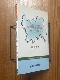 フラクタルで描く 魅惑的な画像の世界～ExcelとVBAで体験する～