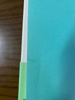 熱海殺人事件売春捜査官