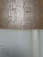 素粒子（朝倉現代物理学講座11）