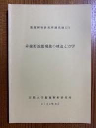 非線形波動現象の構造と力学（数理解析研究所講究録1271）