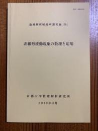 非線形波動現象の数理と応用（数理解析研究所講究録1701）