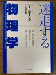 迷走する物理学　ストリング理論の栄光と挫折、新たなる道を求めて