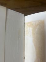 ベクトルと行列論（数学選書）