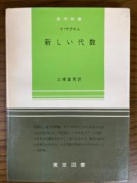 新しい代数（数学新書７８）
