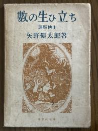 数の生ひたち