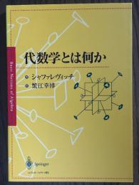 代数学とは何か