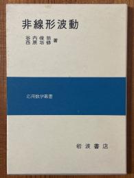 非線形波動（応用数学叢書）