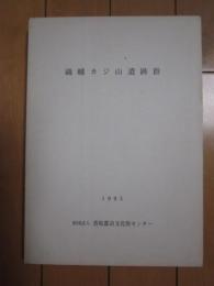 織幡カジ山遺跡群　1993　