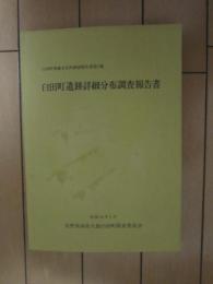臼田町遺跡詳細分布調査報告書　ー付図付きー