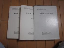 東山崎・水田遺跡　　第１・２分冊