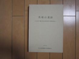 馬場山遺跡　ー北九州市八幡区馬場山道路用地内の遺跡調査報告ー