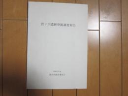 宮ノ下遺跡発掘調査報告