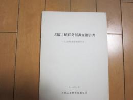 犬塚古墳群発掘調査報告書　ー広島県比婆郡東城町所在ー