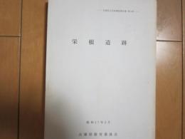 栄根遺跡　兵庫県文化財調査報告書第１４冊