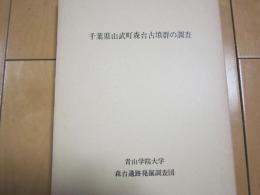 千葉県山武郡森台古墳群の調査