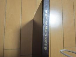 日立市と遠下遺跡調査報告書
