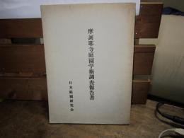 摩訶耶寺庭園学術調査報告書