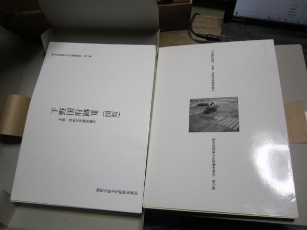 【25％OFF】 下野国府跡Ⅶ 木簡・漆紙文書調査報告 -栃木県埋蔵文化財調査 日本史