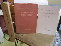 子ノ神・大谷津　山崎Ⅱ・丸尾Ⅱ　1982　-沼津市文化財調査報告書　第27集-　別冊(子ノ神・大谷津遺跡の花粉分析)付き　水野　瑞夫（岐阜薬科大学助教授）